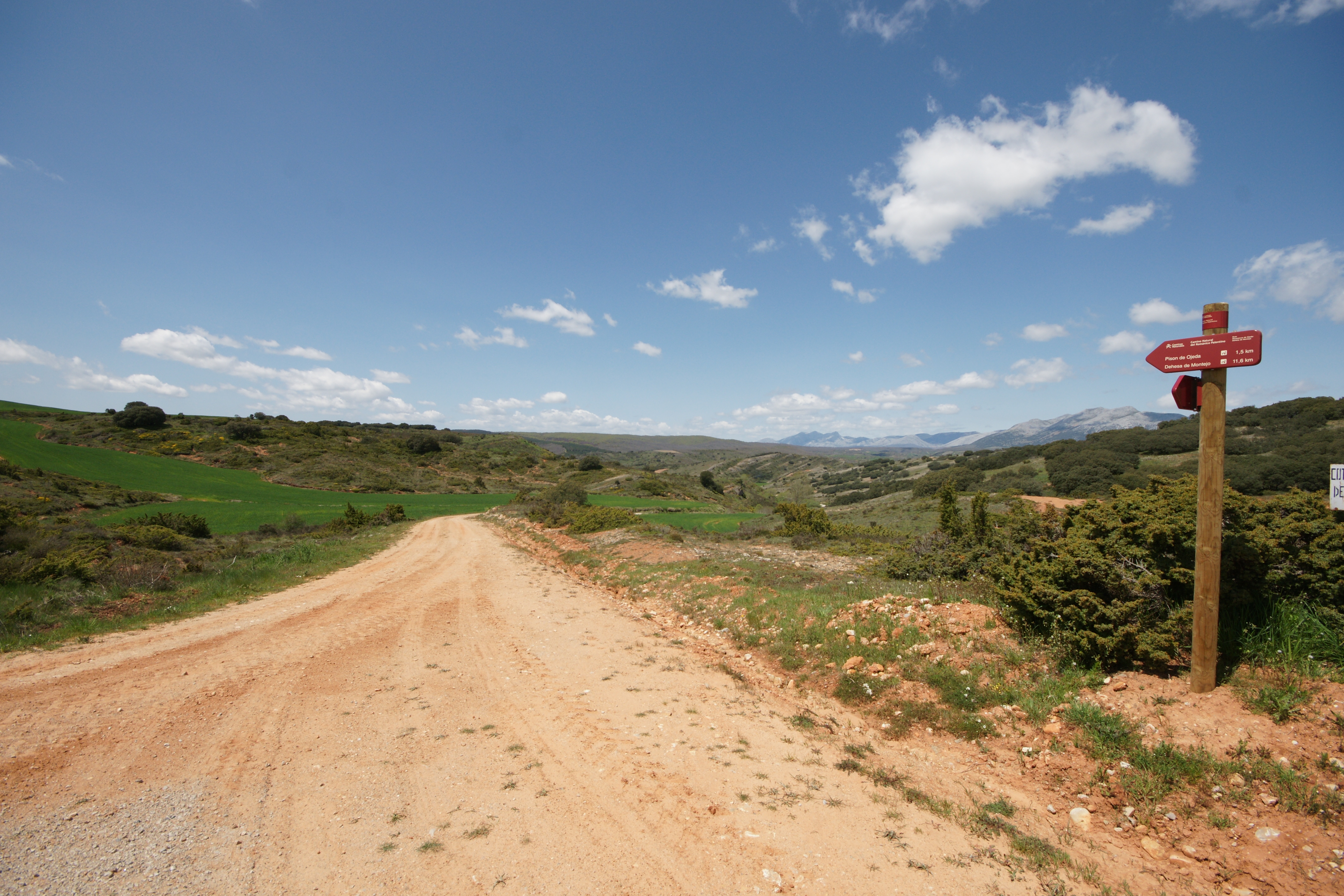 El camino de Montoto a Pisón de Ojeda
