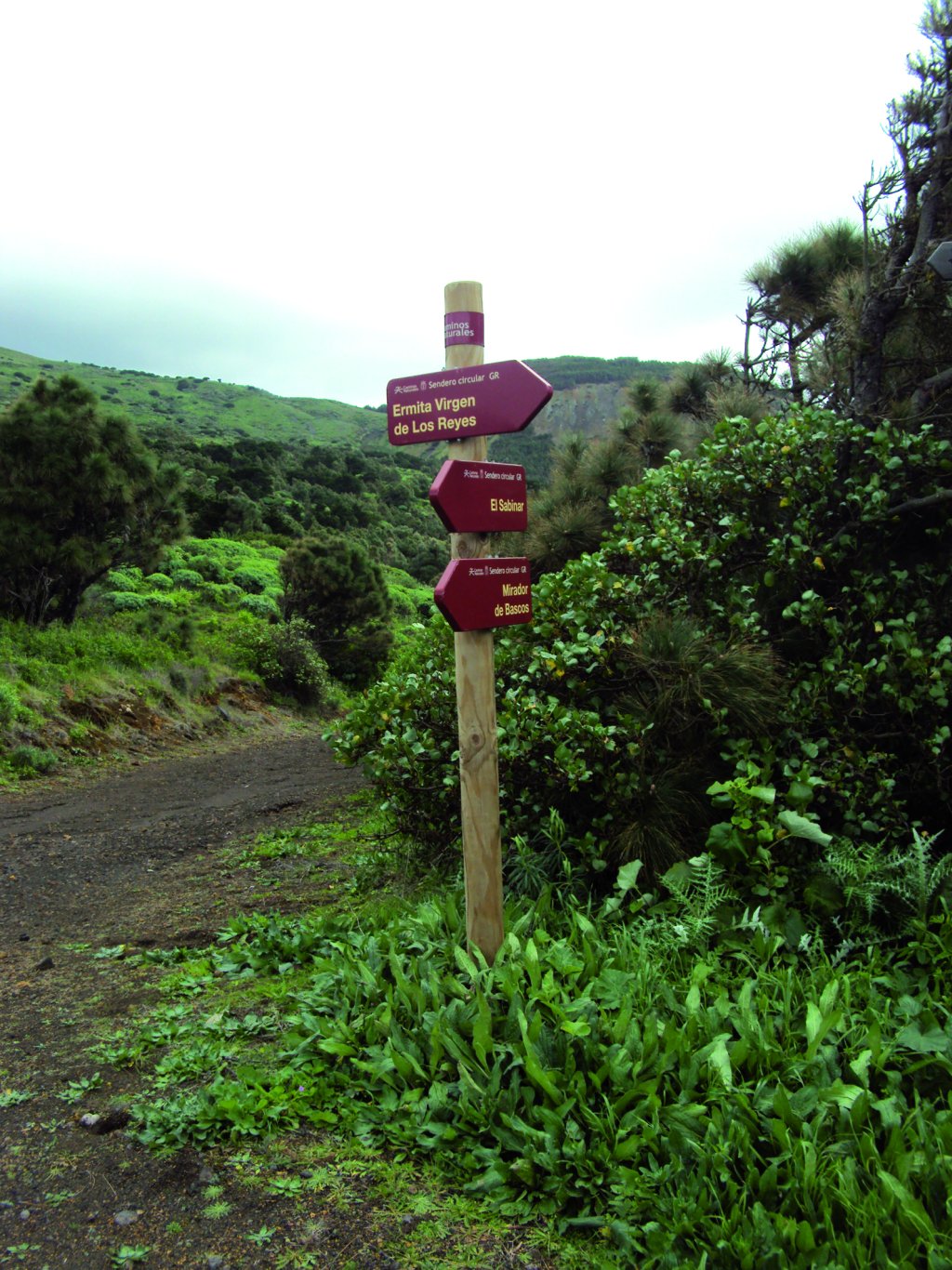 Imagen del camino en las proximidades del Mirador de Bascos