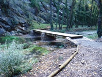 Pasarela de madera sobre el río
