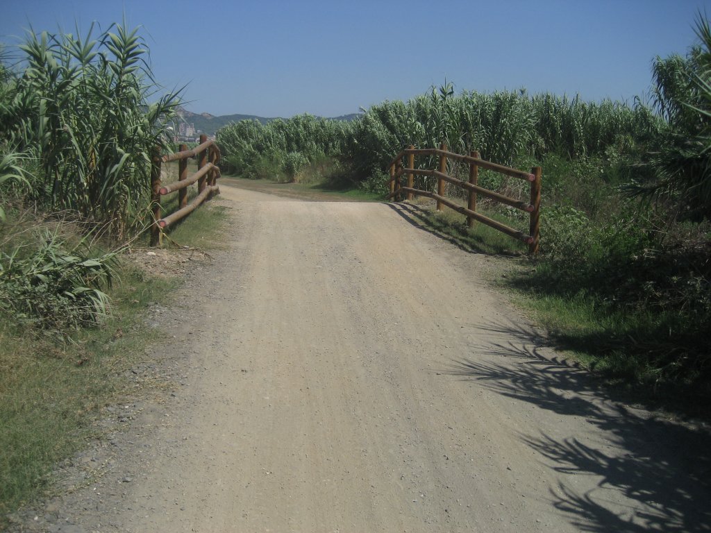 El camino se inicia junto al río Llobregat, apenas visible por una muralla de cañas