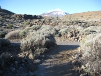 Imagen del Pico del Teide al llegar a El Portillo