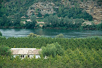 El Ebro discurriendo entre huertas de frutales y paredes rocosas