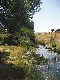 Río Mediana