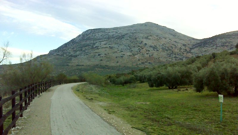 Cerro Camarena