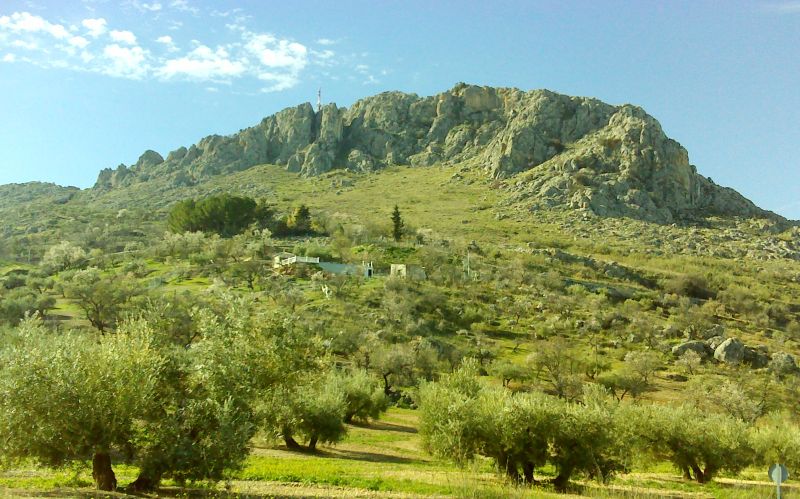Cerro del Algarrobo