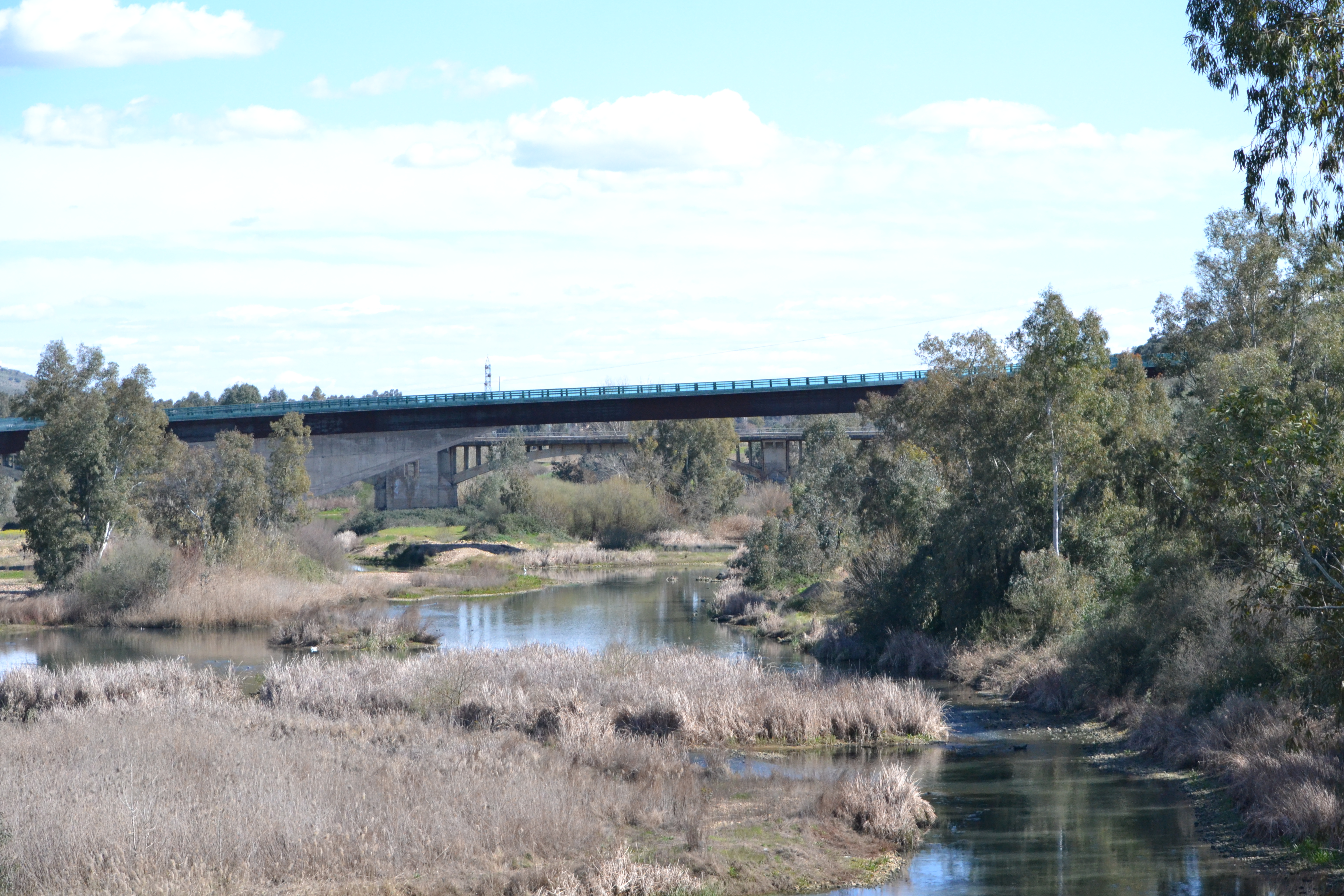 El puente Presidente Rodríguez Ibarra desde el camino natural