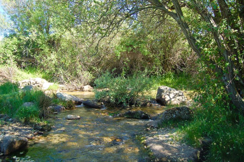 Río Milanillos