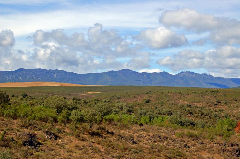 Sierra Altamira (Risco Moras 1 279 m)