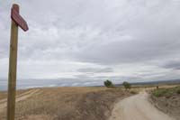 Vista atrás desde el final del camino, en el límite provincial entre Madrid y Toledo