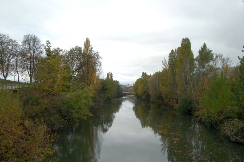 Río Arga