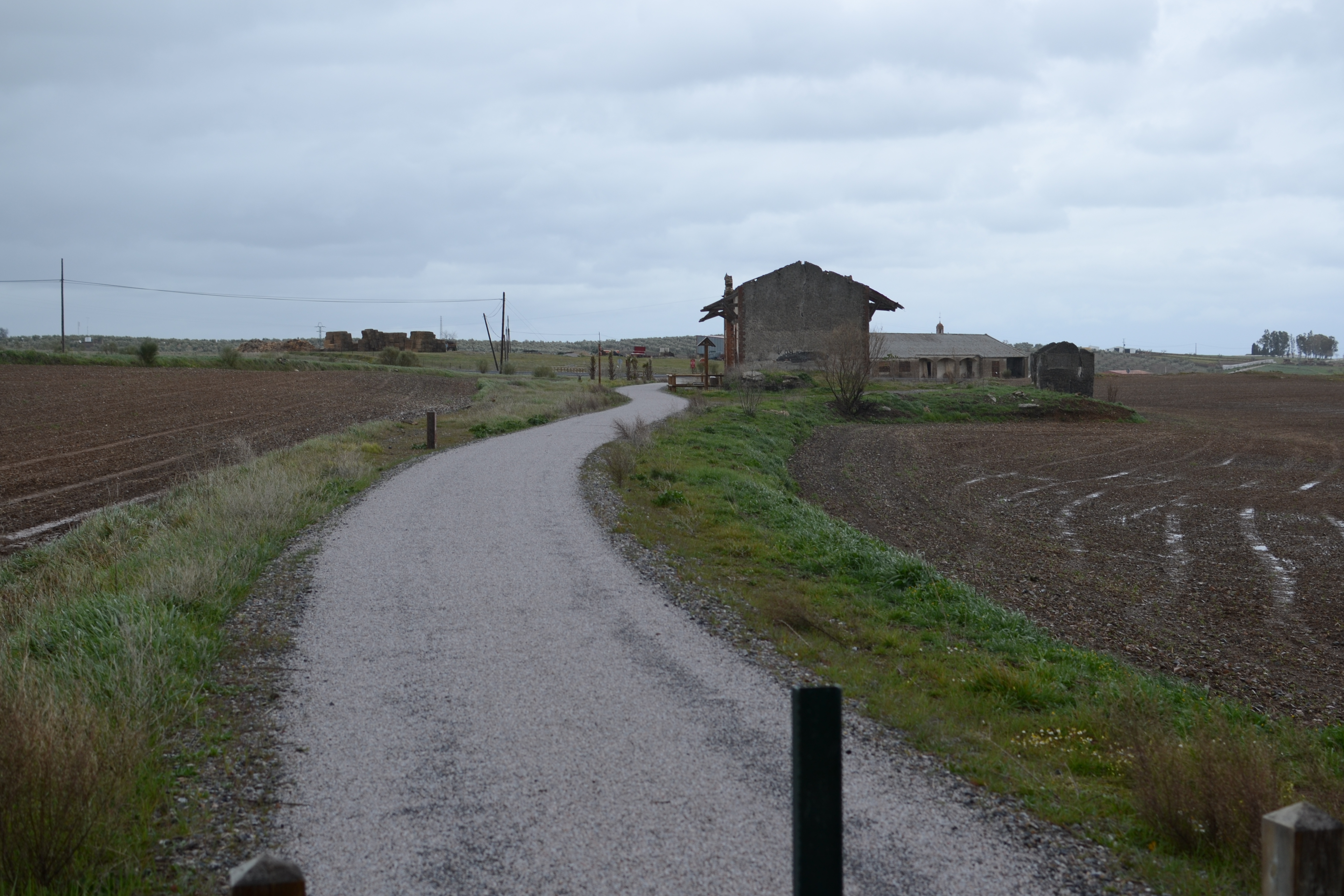 El camino se acerca a la antigua estación de Valverde de Llerena entre campos de cultivo