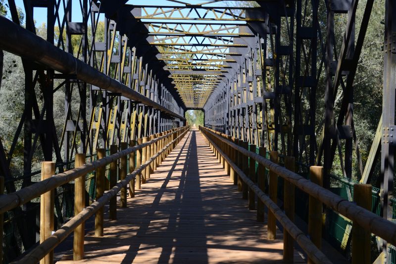 Puente sobre el río Esla