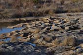 El río Algars esculpe la roca caliza de su lecho