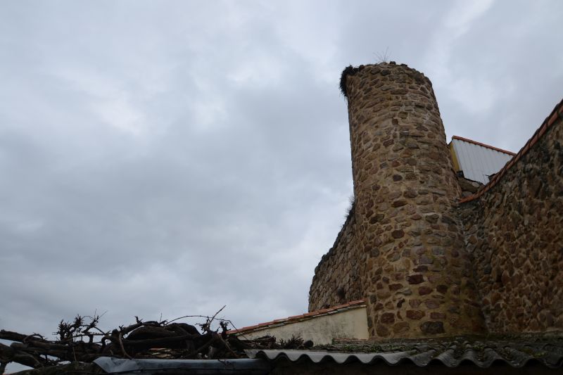 Ruinas castillo de Segura de Toro