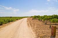 Camino Natural de los Humedales de La Mancha