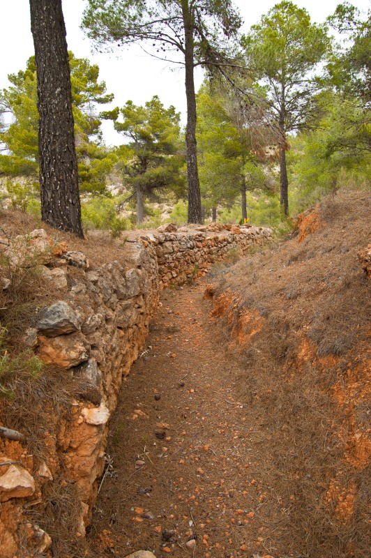 Trinchera Camino Real