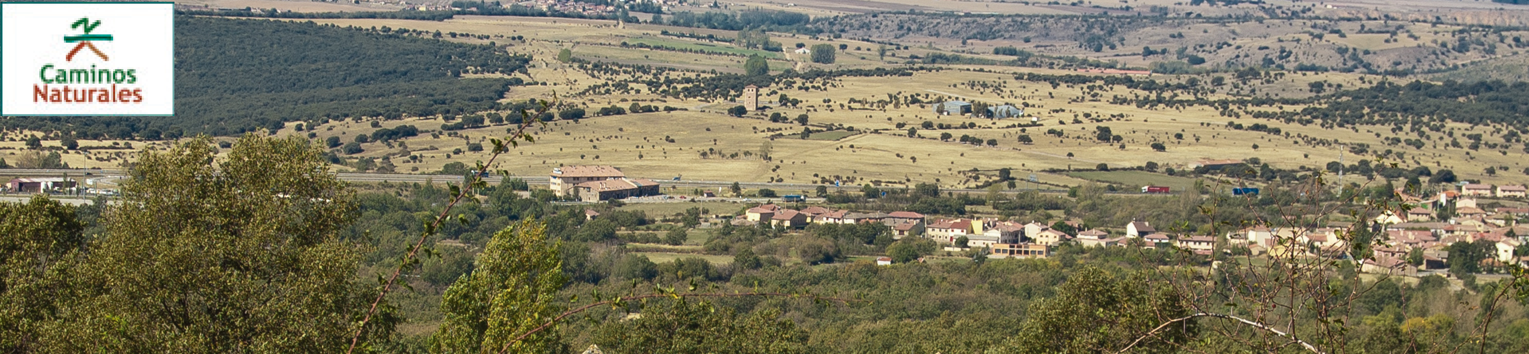 CN Cañada Real Soriana Occidental. Etapa 6