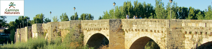 Etapa 15: Puente Duero - Tordesillas