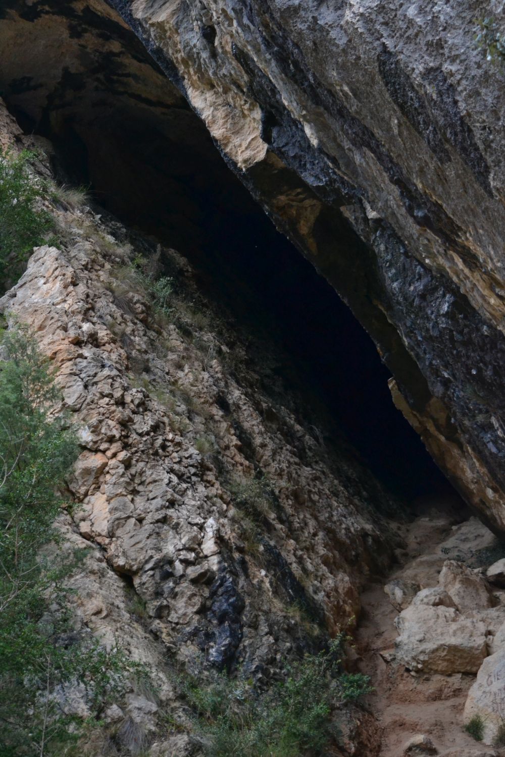 Cueva de la Dona
