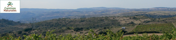 Etapa 35: Pereña de la Ribera - Masueco