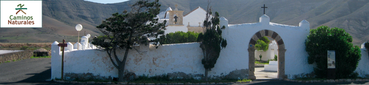 Etapa 3: La Oliva - Tefía