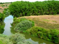 Río Duero en el paraje Llano del Pino
