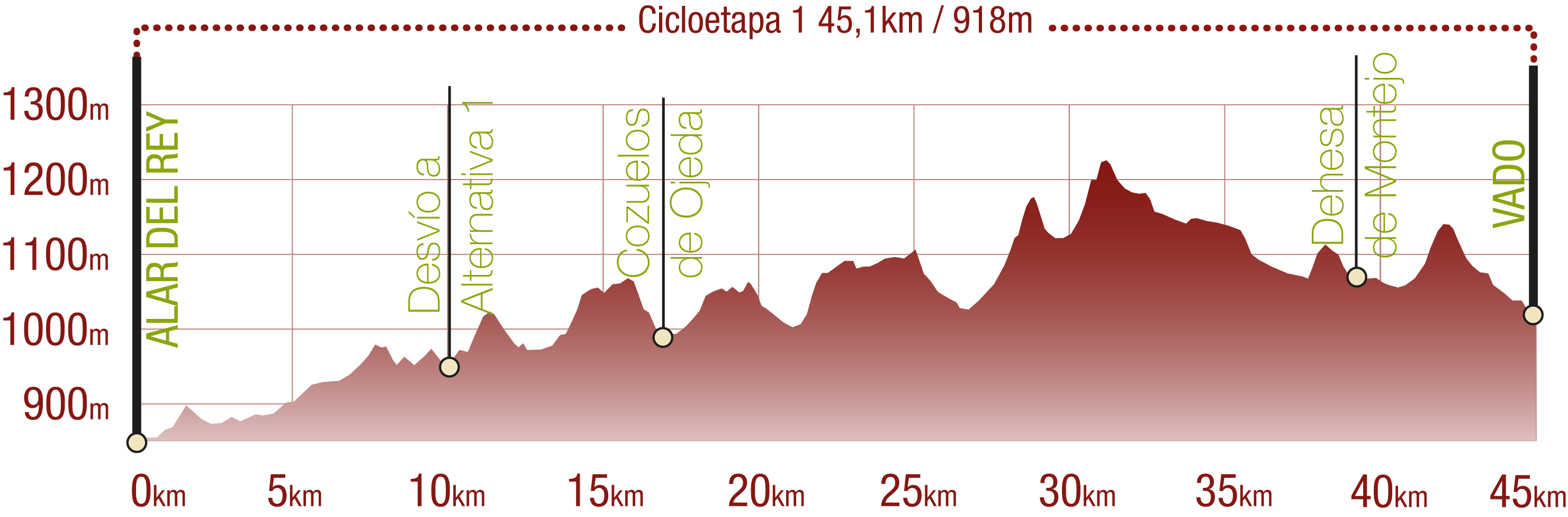 Perfil 
Perfil de la Cicloetapa 1 del CN del Románico Palentino: 45,1 km / Desnivel de subida 918 m

