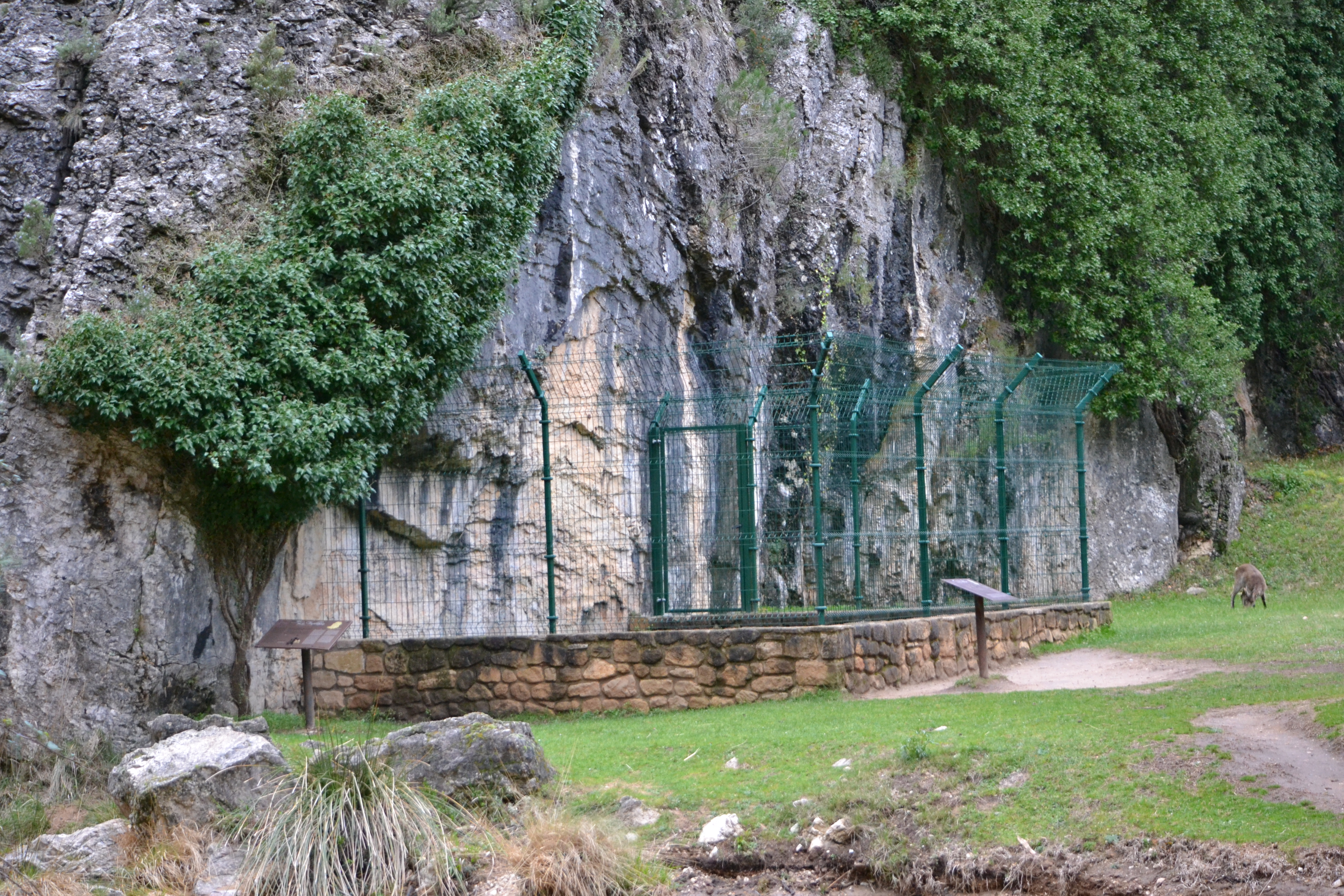 Una verja protege las pinturas rupestres de La Fenellassa