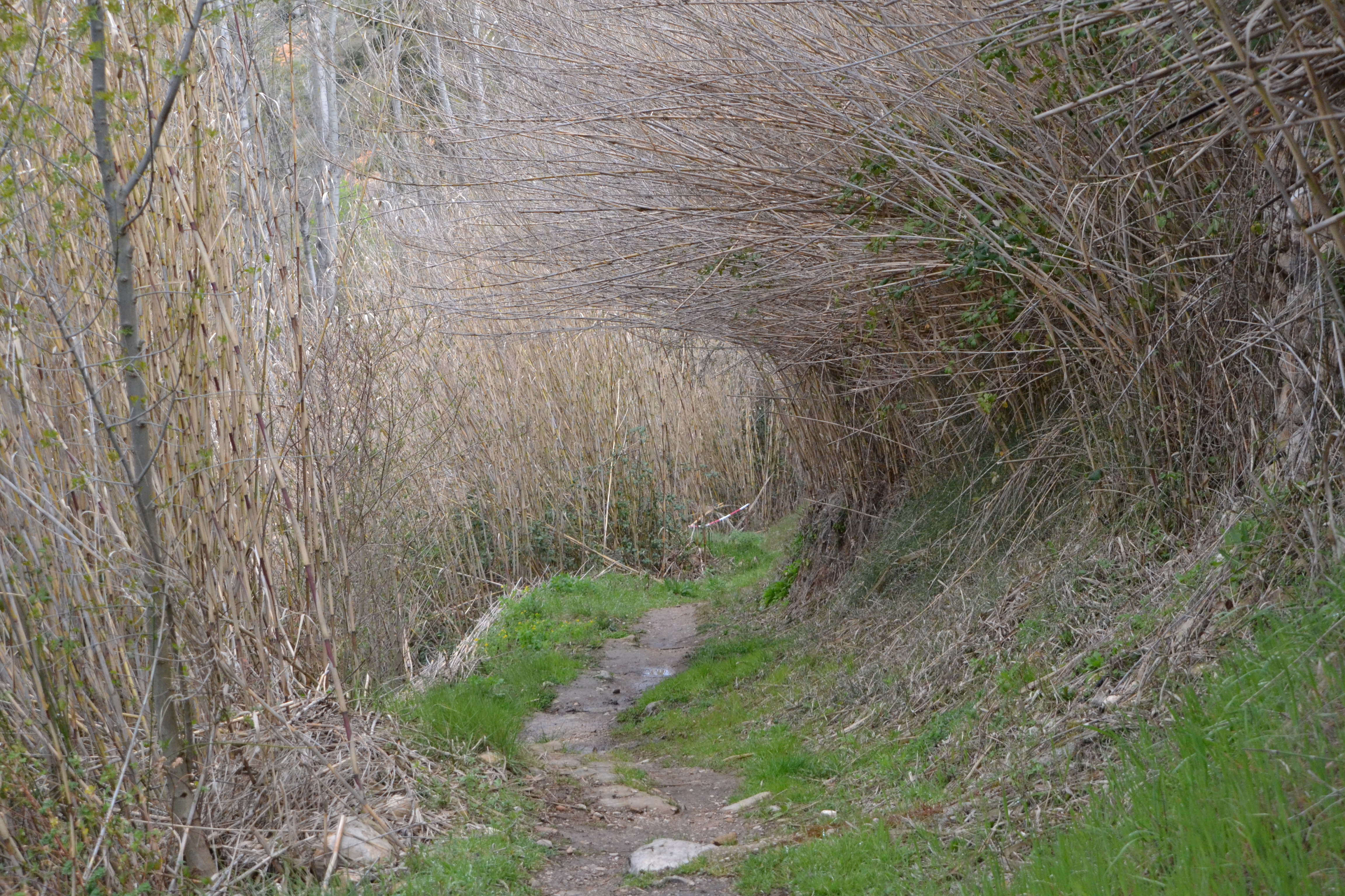 La pista se convierte en un paseo fluvial en las proximidades de Valderrobres