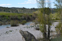 Aspecto del cauce medio del río Matarraña