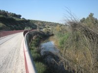 Puente paralelo al río Guadalimar