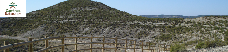Camino Natural de Castejón de Monegros 