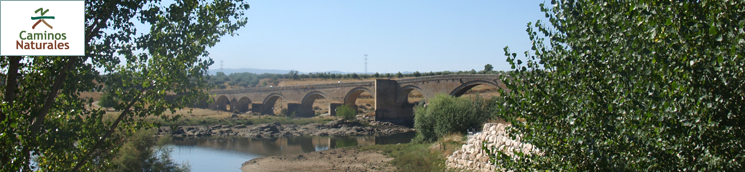 Etapa 28: Aldeanueva de Barbarroya - El Puente del Arzobispo