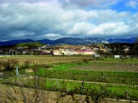 Vista de la localidad de Baños de Ebro y sus viñedos