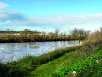 El río Ebro a la altura de la localidad de Milagro