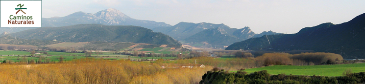Etapa 12: Miranda de Ebro - Haro 