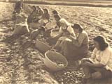 Cortando tubérculos para la plantación, 1948. Luis Carulla Canals