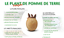 Francia. Le Plant français de pomme de terre