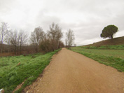 Vista subjetiva del Camino Natural S-M