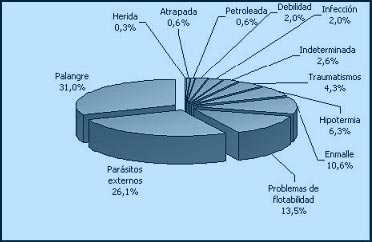 Causas de ingreso identificadas en el CREMA