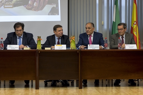 El ministro visita la principal zona productora de espárrago verde de España foto 5