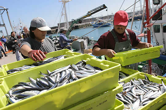 PescdoresEl Gobierno aprueba 30 millones de euros para financiar la paralización de la flota pesquera por la COVID-19