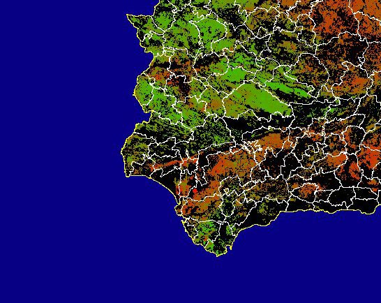 Imagen de NDVI medio secano: Índices de vegetación medios del mes para las zonas de cultivos de secano y pastizales - Suroeste