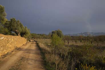 Camino Natural del Matarraña - Algars