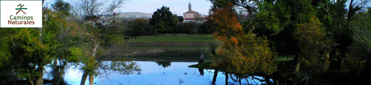 Etapa 27: El Burgo de Ebro - Pina de Ebro